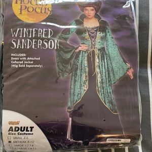 Hocus pocus costume- winifred